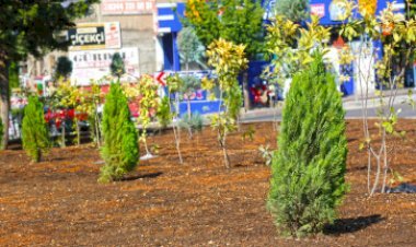 Sakarya’nın Yeni Kavşağı Tamam