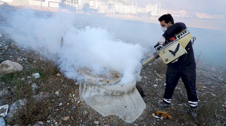 35 Bin Rögarda Dumanlama Yapılıyor