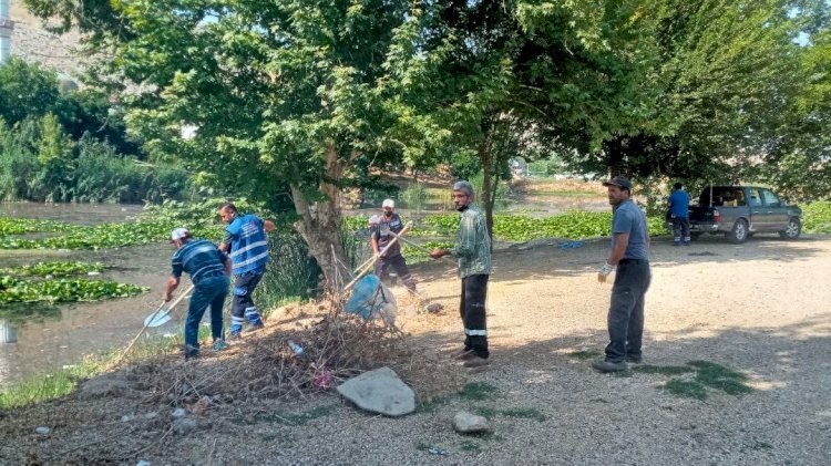 Nilüfer Çiçekleri Atıklardan Kurtarıldı