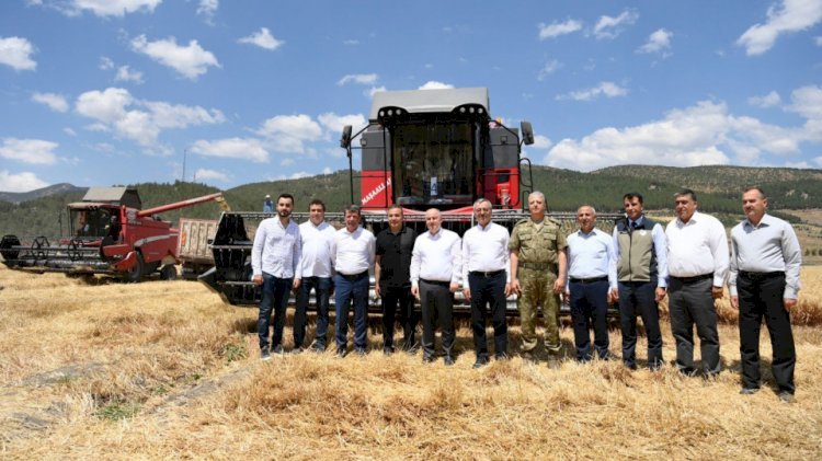 Başkan Güngör Buğday Hasadına Katıldı